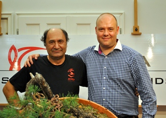 bonsai es suiseki mustra bonsai es suiseki kiallitas az erdi varosi galeriaban hungary marczika bonsai studio
